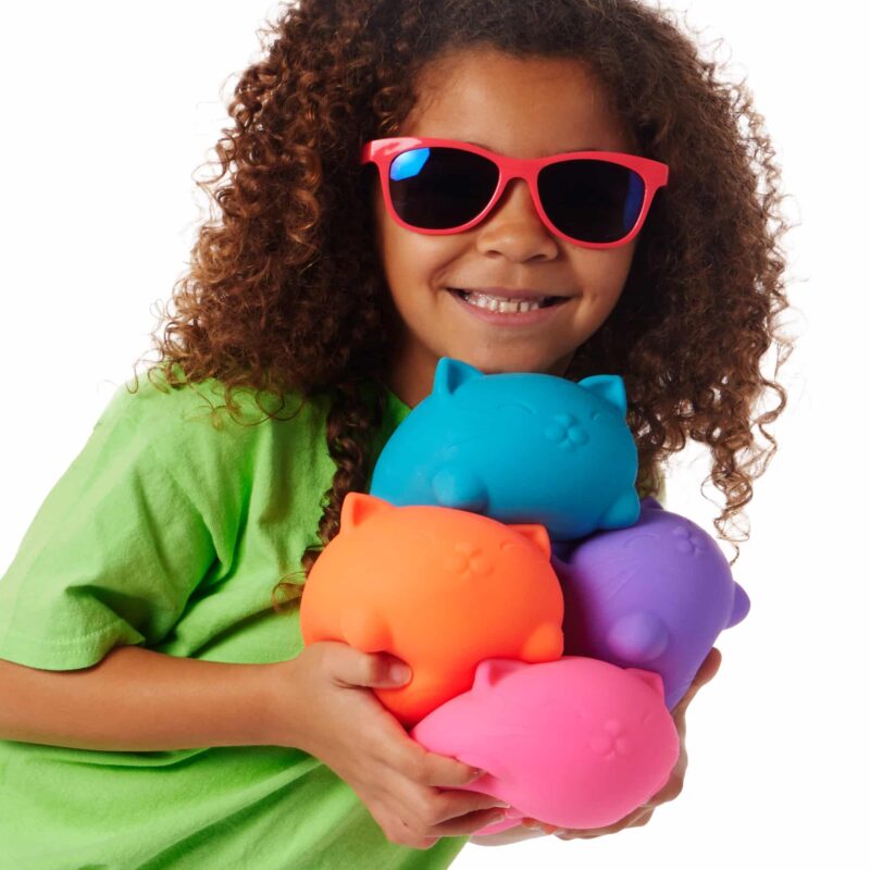 Super NeeDoh Cool Cats - US 1663