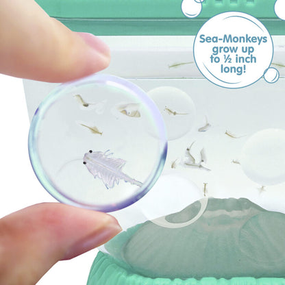 Sea-Monkeys Ocean Volcano - US 4003