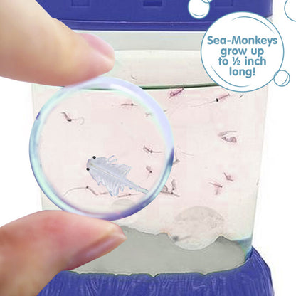 Sea-Monkeys Magiquarium - US 6286